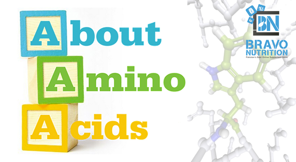 The Importance of Amino Acids Supplement - Bravo Nutrition